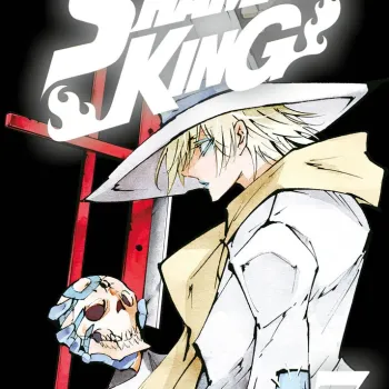 Shaman King Big Vol. 07 Shaman King Big Vol. 07