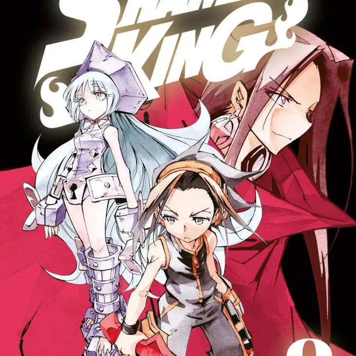 Shaman King Big Vol. 08 Shaman King Big Vol. 08