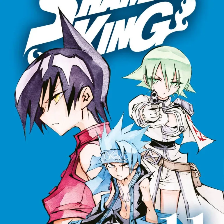 Shaman King Big Vol. 11