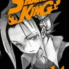 Shaman King Big Vol. 14