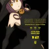 Soul Eater Perfect Edition Vol. 12