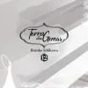 Terra das Gemas Vol. 12