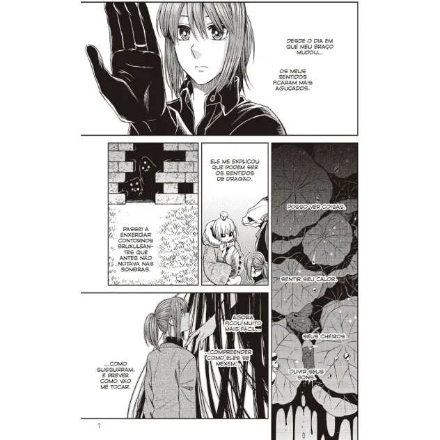 Ancient Magus Bride, The - Vol. 13