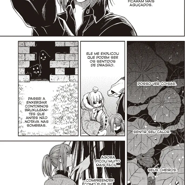 Ancient Magus Bride, The - Vol. 13 Ancient Magus Bride, The - Vol. 13