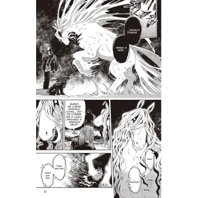 Ancient Magus Bride, The - Vol. 13