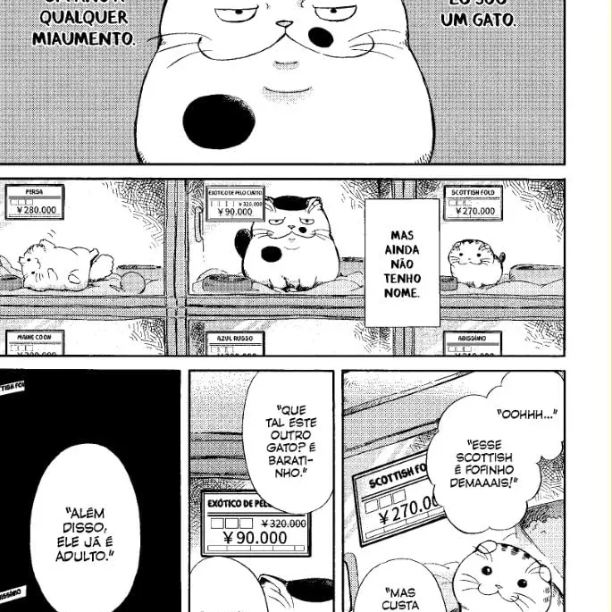 Um homem e seu gato - Vol. 01