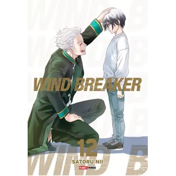 Wind Breaker - Vol. 12