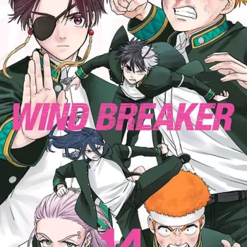 Wind Breaker - Vol. 14