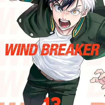 Wind Breaker - Vol. 13