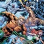 Aquaman: A Morte de Um Rei - Os Novos 52!