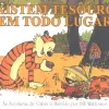 Calvin e Haroldo Vol. 10 - Existem Tesouros em Todo Lugar