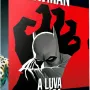 DC Comics Coleção de Graphic Novels Vol. 65 - Batman - A Luva Negra - Eaglemoss