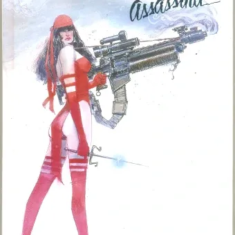 Elektra Assassina