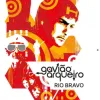 Gavião Arqueiro - Rio Bravo