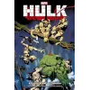 Hulk : A Saga da Encruzilhada (Marvel Vintage)