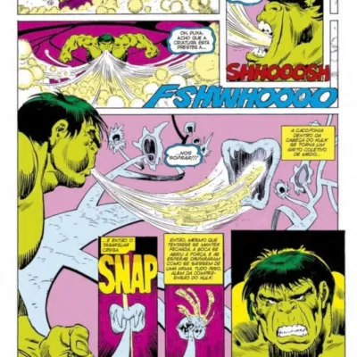 Hulk : A Saga da Encruzilhada (Marvel Vintage) Hulk : A Saga da Encruzilhada (Marvel Vintage)