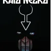 Raio Negro