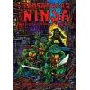 Tartarugas Ninjas: Coleção Clássica Vol. 05