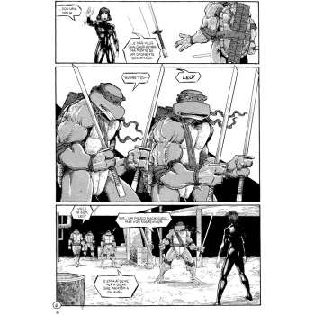 Tartarugas Ninjas: Coleção Clássica Vol. 05 Tartarugas Ninjas: Coleção Clássica Vol. 05