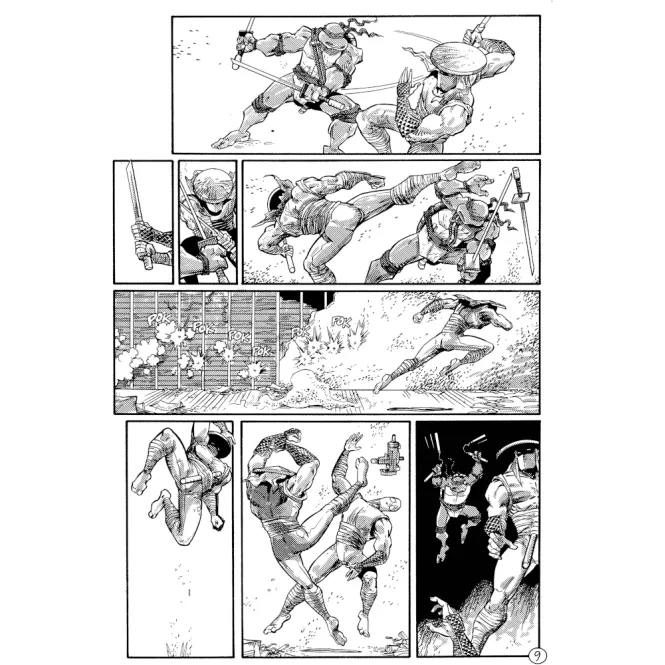 Tartarugas Ninjas: Coleção Clássica Vol. 05 Tartarugas Ninjas: Coleção Clássica Vol. 05