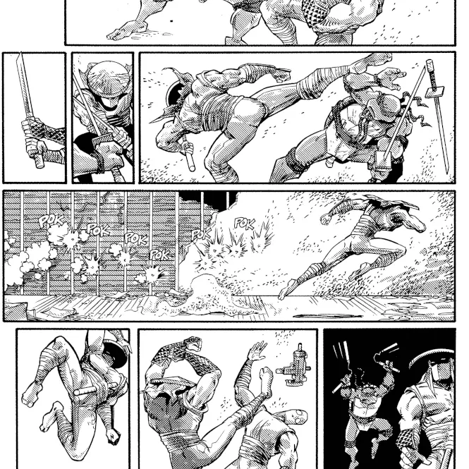 Tartarugas Ninjas: Coleção Clássica Vol. 05 Tartarugas Ninjas: Coleção Clássica Vol. 05