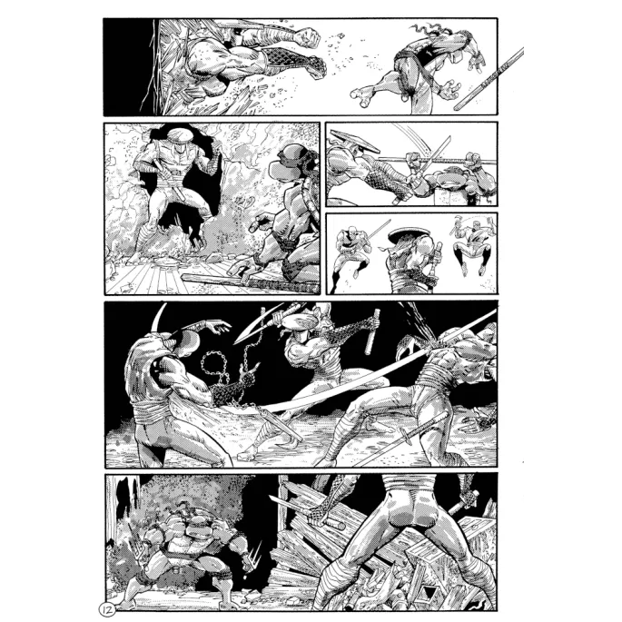 Tartarugas Ninjas: Coleção Clássica Vol. 05 Tartarugas Ninjas: Coleção Clássica Vol. 05