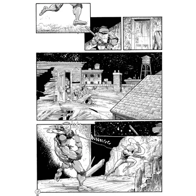 Tartarugas Ninjas: Coleção Clássica Vol. 05 Tartarugas Ninjas: Coleção Clássica Vol. 05