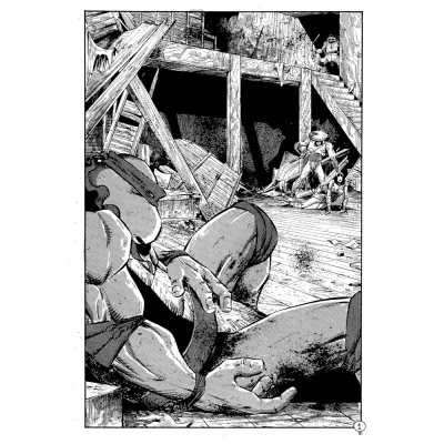 Tartarugas Ninjas: Coleção Clássica Vol. 05 Tartarugas Ninjas: Coleção Clássica Vol. 05