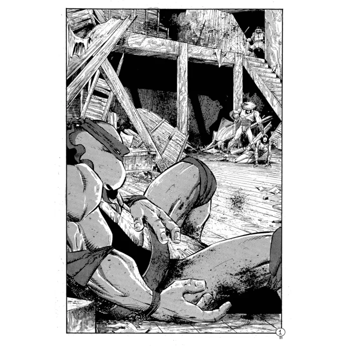 Tartarugas Ninjas: Coleção Clássica Vol. 05 Tartarugas Ninjas: Coleção Clássica Vol. 05