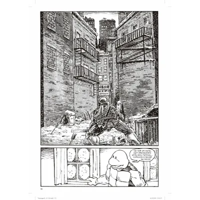 Tartarugas Ninjas: Coleção Clássica Vol. 02 Tartarugas Ninjas: Coleção Clássica Vol. 02